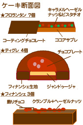 チョコレートの焼菓子アソート断面図